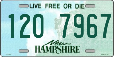 NH license plate 1207967