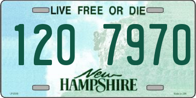 NH license plate 1207970