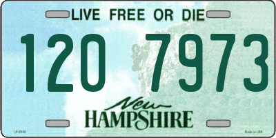 NH license plate 1207973