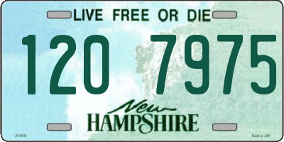 NH license plate 1207975