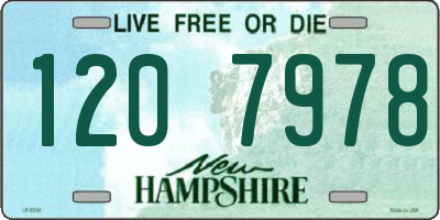 NH license plate 1207978