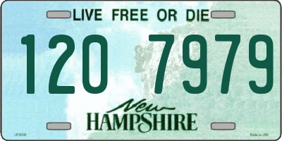 NH license plate 1207979