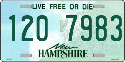 NH license plate 1207983