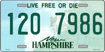 NH license plate 1207986