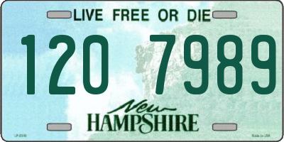 NH license plate 1207989