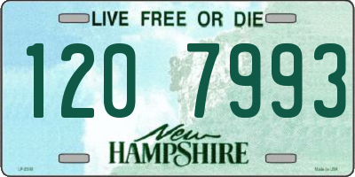 NH license plate 1207993
