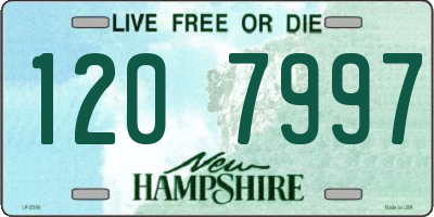 NH license plate 1207997