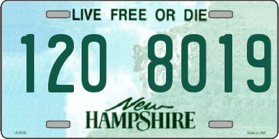 NH license plate 1208019