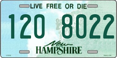 NH license plate 1208022