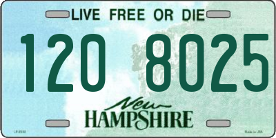 NH license plate 1208025