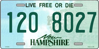 NH license plate 1208027