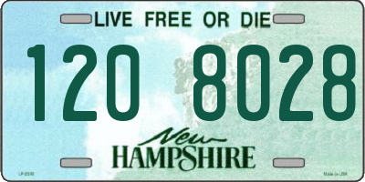 NH license plate 1208028