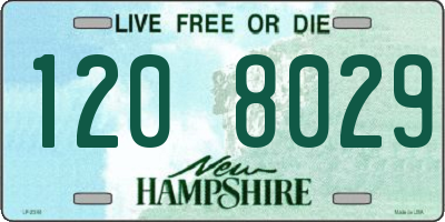 NH license plate 1208029