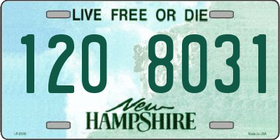 NH license plate 1208031