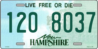 NH license plate 1208037