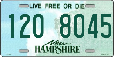NH license plate 1208045