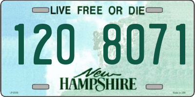 NH license plate 1208071