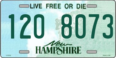 NH license plate 1208073