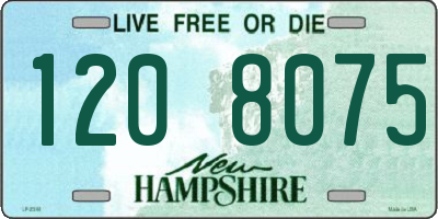 NH license plate 1208075