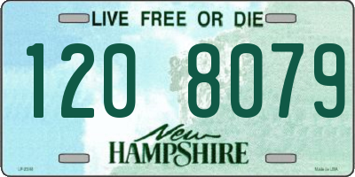 NH license plate 1208079