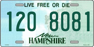 NH license plate 1208081
