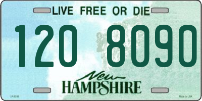 NH license plate 1208090