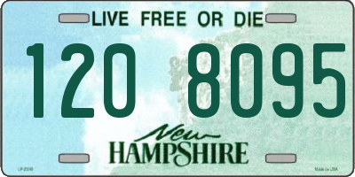 NH license plate 1208095