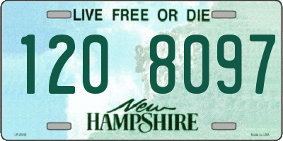 NH license plate 1208097