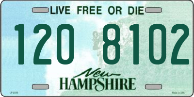 NH license plate 1208102