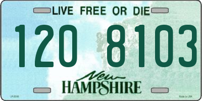 NH license plate 1208103