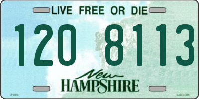 NH license plate 1208113