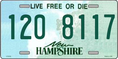 NH license plate 1208117
