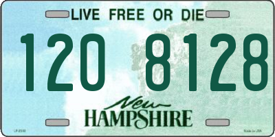 NH license plate 1208128