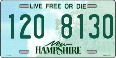 NH license plate 1208130