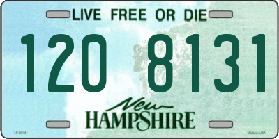 NH license plate 1208131