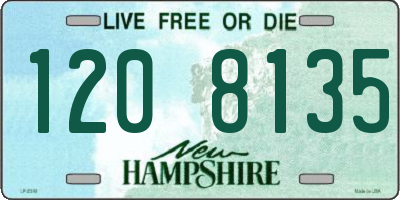 NH license plate 1208135