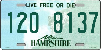 NH license plate 1208137