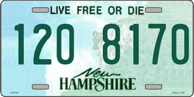 NH license plate 1208170