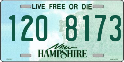 NH license plate 1208173