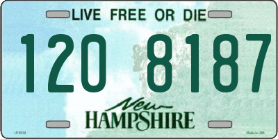NH license plate 1208187