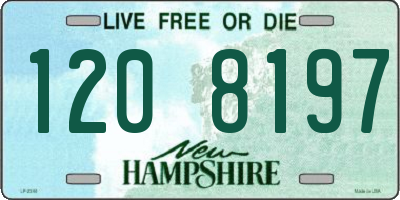 NH license plate 1208197