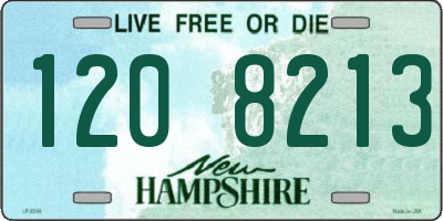NH license plate 1208213