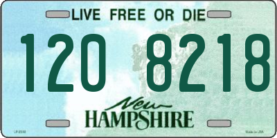 NH license plate 1208218