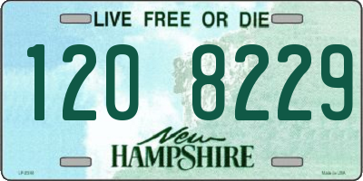 NH license plate 1208229