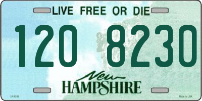 NH license plate 1208230