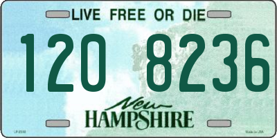 NH license plate 1208236