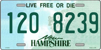 NH license plate 1208239