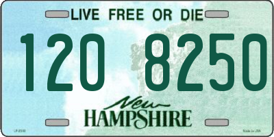 NH license plate 1208250