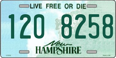 NH license plate 1208258