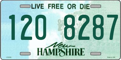 NH license plate 1208287